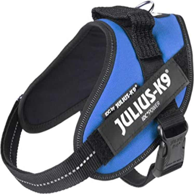 Julius-K9 Dog harness, Size: Large/Blue